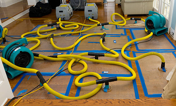 Professional Burst Pipe Water Damage technician working in Chapman Ranch, TX
